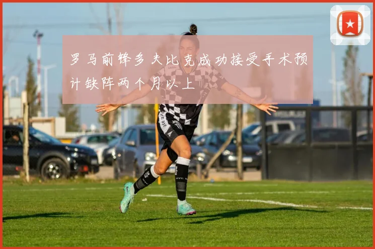 罗马前锋多夫比克成功接受手术预计缺阵两个月以上