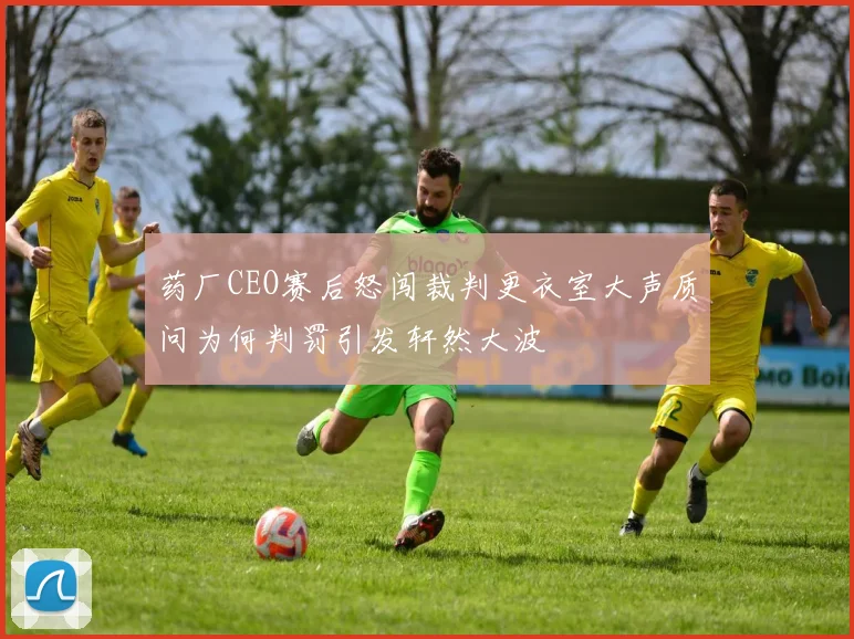药厂CEO赛后怒闯裁判更衣室大声质问为何判罚引发轩然大波