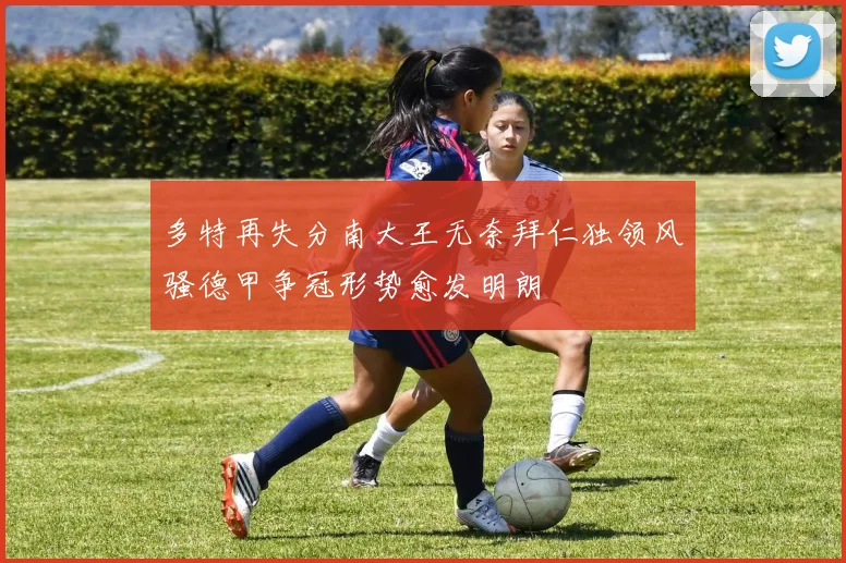 多特再失分南大王无奈拜仁独领风骚德甲争冠形势愈发明朗
