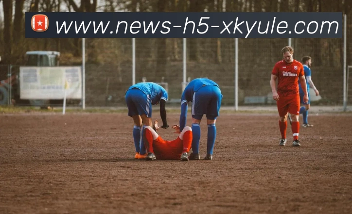 星空体育发展历程